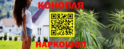 метадон Кингисепп