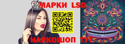 метадон Кингисепп