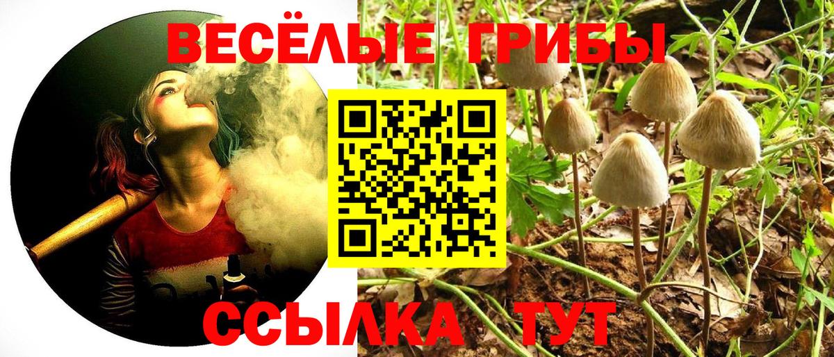 Галлюциногенные грибы мицелий  Вход с VPN  Кохма 
